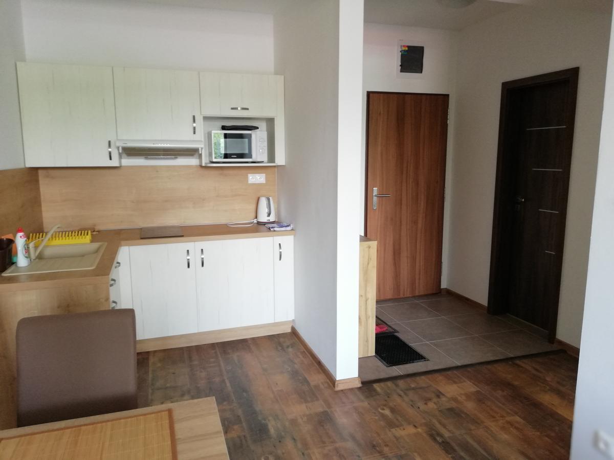 Apartman Skalnicka - Tatrzańska Łomnica Zewnętrze zdjęcie