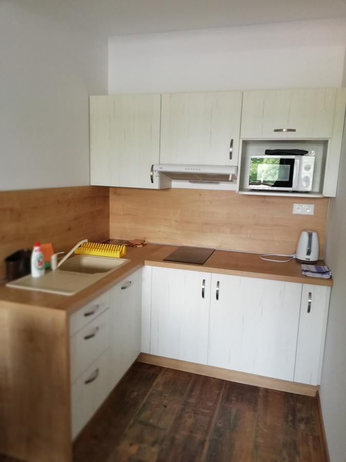 Apartman Skalnicka - Tatrzańska Łomnica Zewnętrze zdjęcie