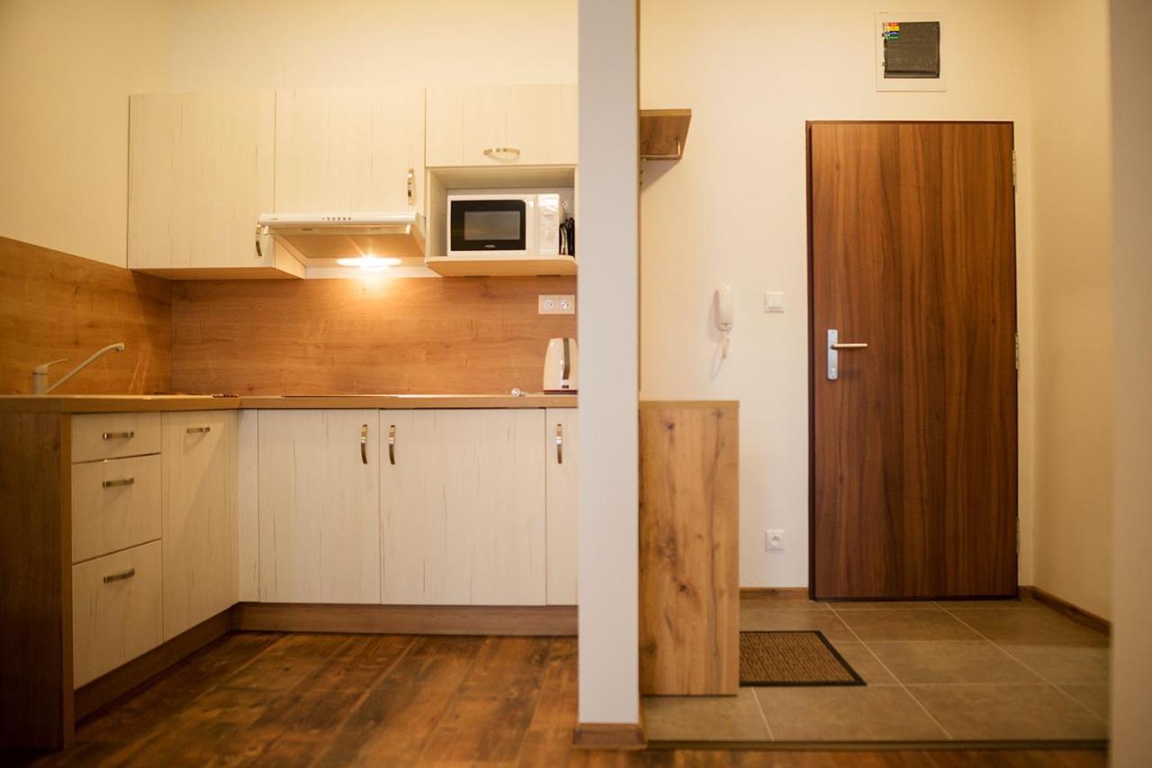 Apartman Skalnicka - Tatrzańska Łomnica Zewnętrze zdjęcie